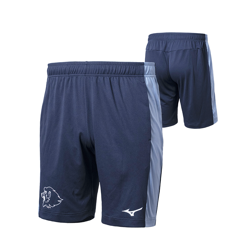 キ*ム様 埼玉西武ライオンズ オーセンティック ウインドブレーカーパンツ L ジ 埼玉西武ライオンズ オーセンティック ウィンドブレーカー パンツ L