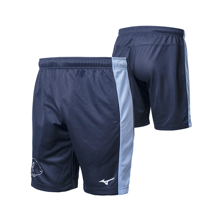 ミズノ]レプリカチームウェア | 埼玉西武ライオンズ公式オンラインショップ