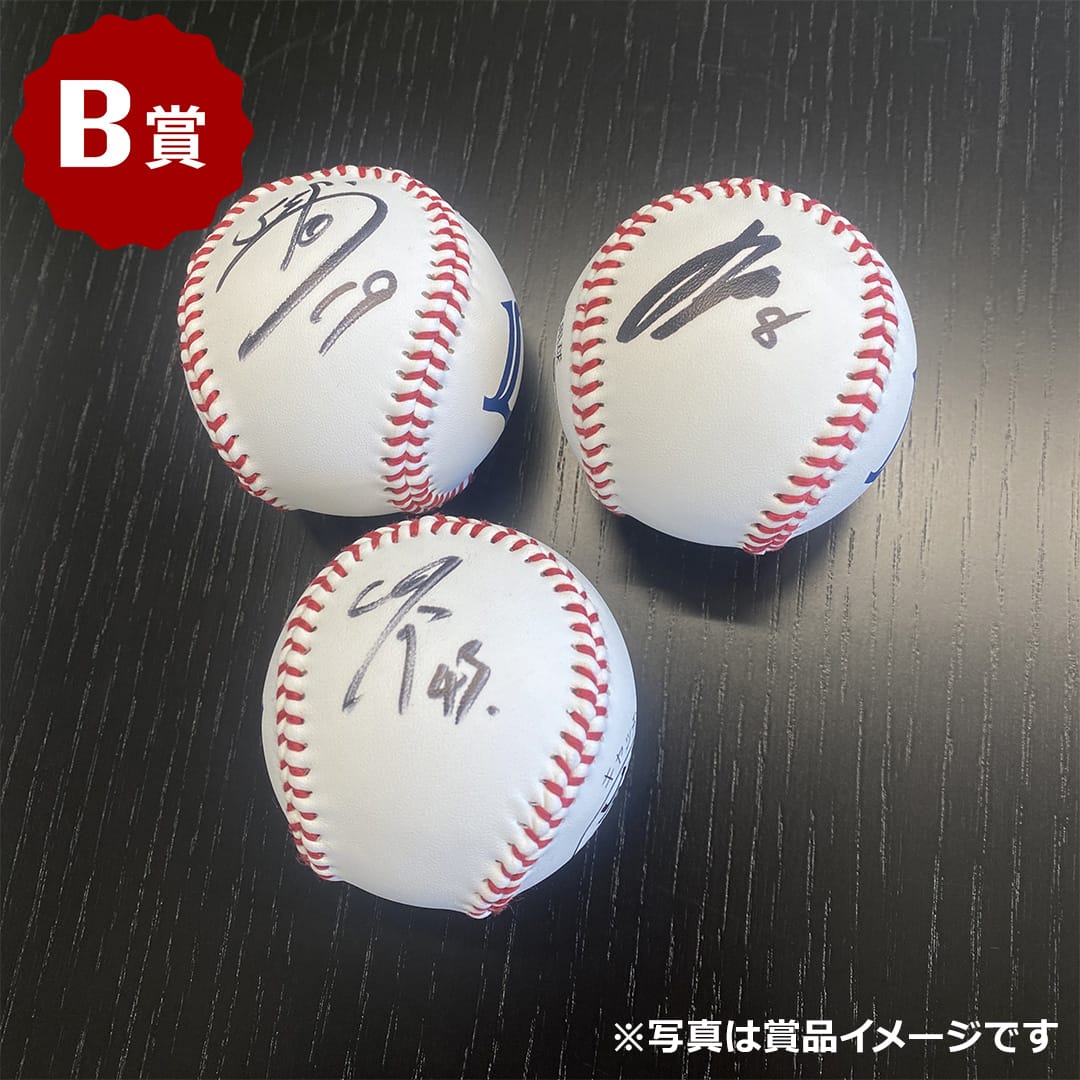 期間限定】ライオンズクリスマス＆新春オンラインくじ: 雑貨 | 埼玉