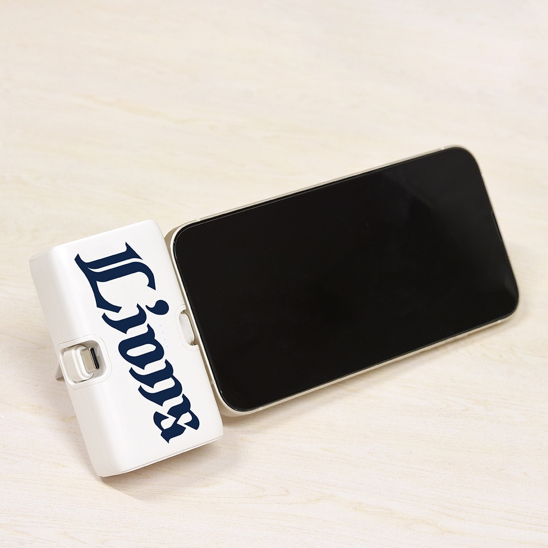 Lightning/Type-Cコネクタ付きリチウムイオン充電器4000mAh ワードマーク