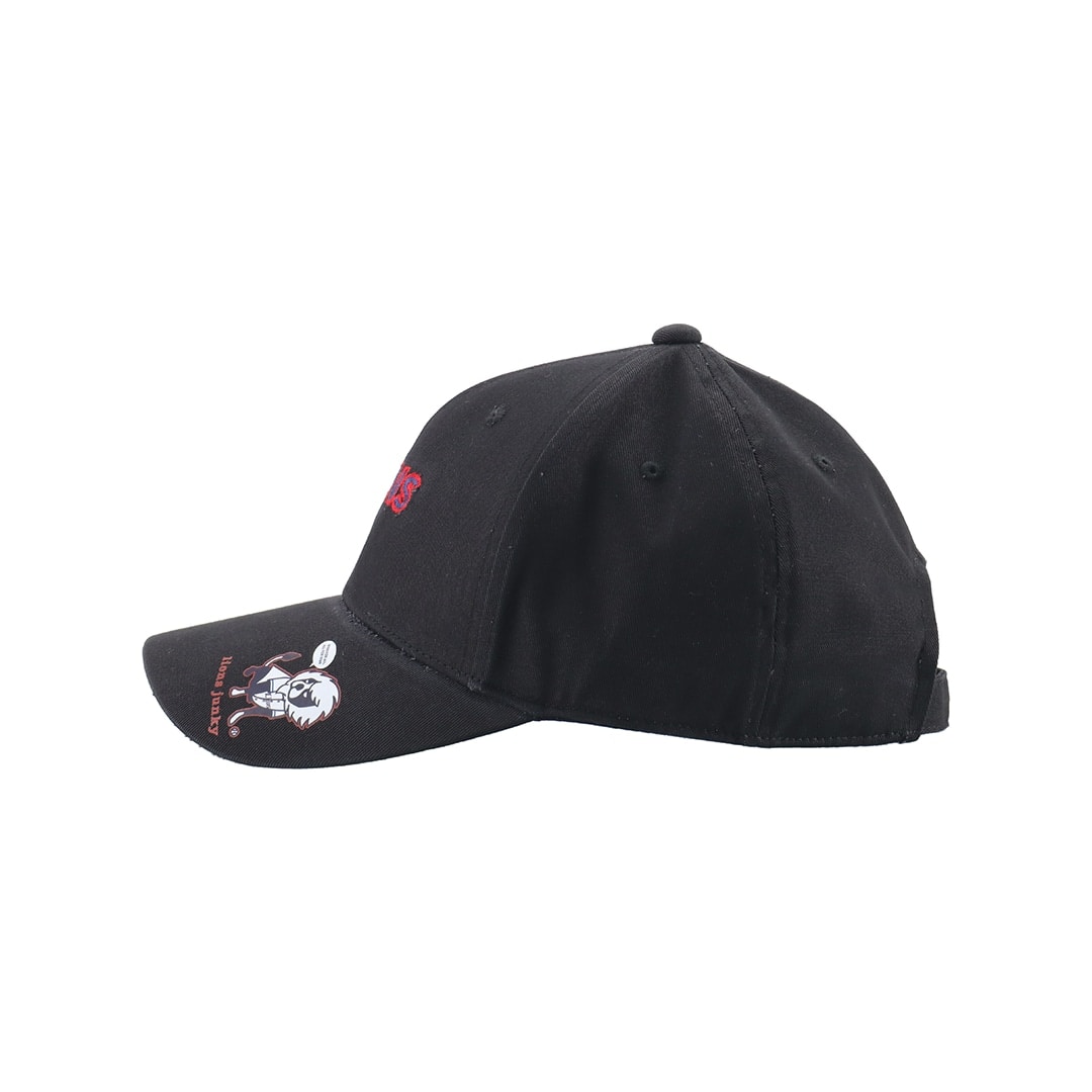 claudio pandiani×LIONS lions junky black
