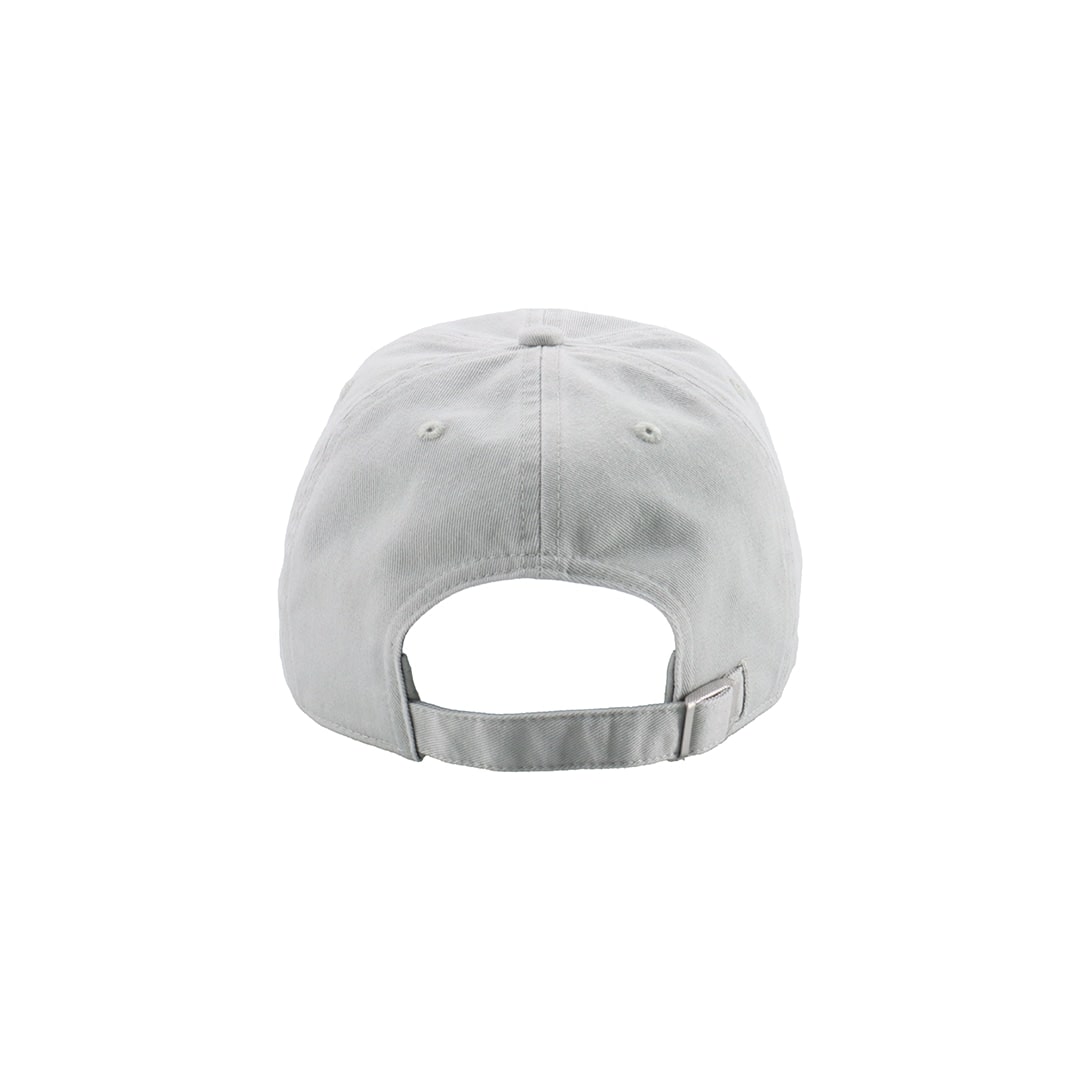 '47×LIONS CLEAN UP Gray Logo Black