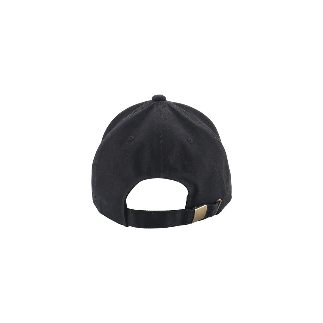 claudio pandiani×LIONS lions junky black