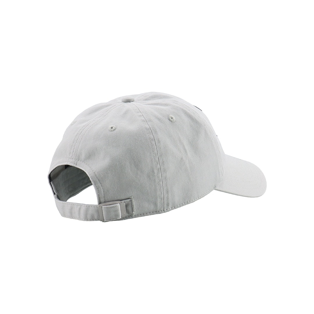 '47×LIONS CLEAN UP Gray Logo Black