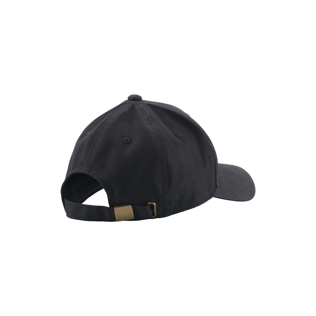 claudio pandiani×LIONS lions junky black