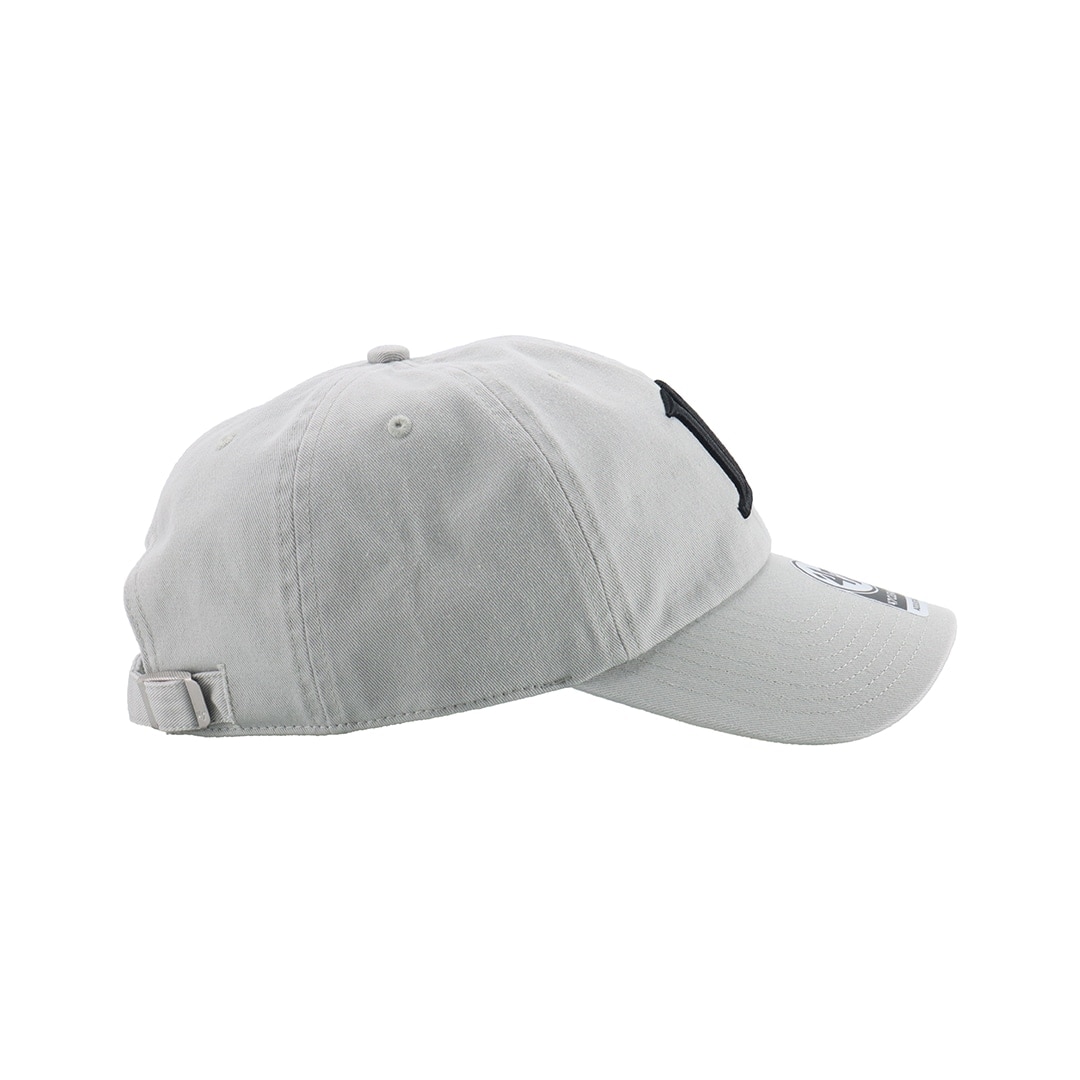 '47×LIONS CLEAN UP Gray Logo Black