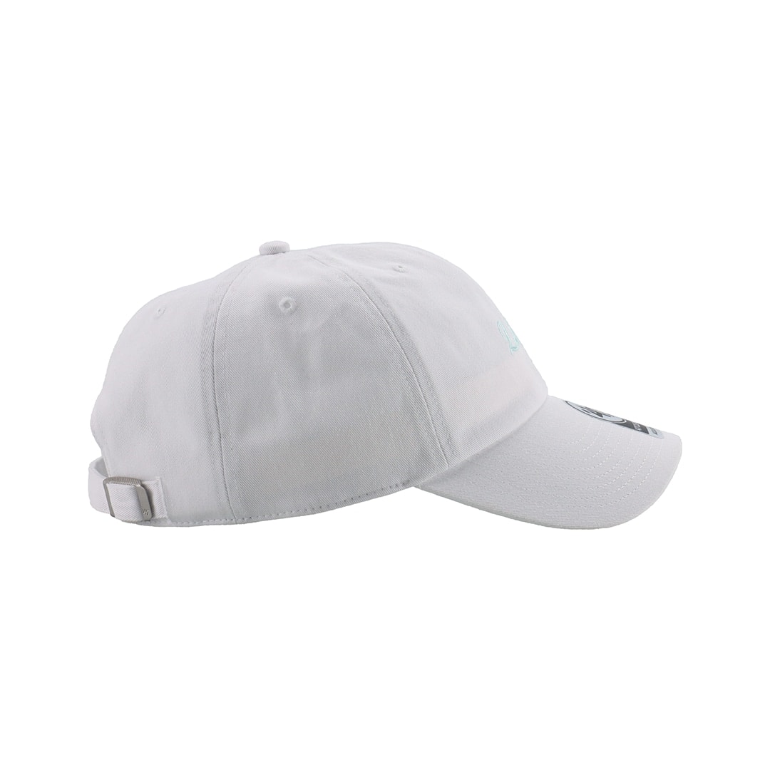 '47×LIONS CLEAN UP White Script Mint