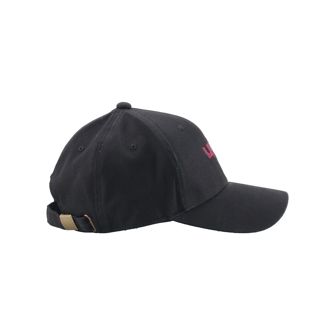 claudio pandiani×LIONS lions junky black