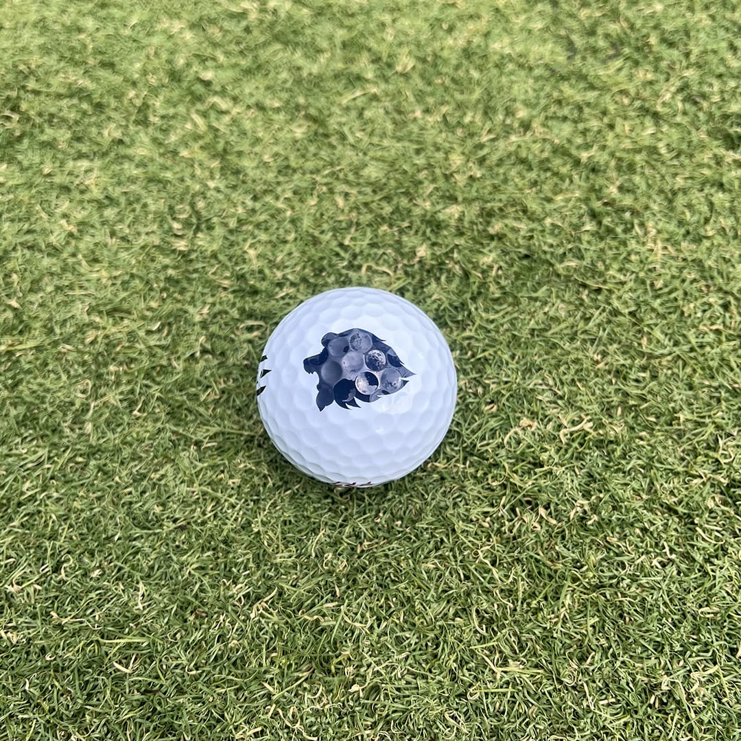 SRIXON XmaXオウンネームボール(6球): ゴルフ用品 | 埼玉西武