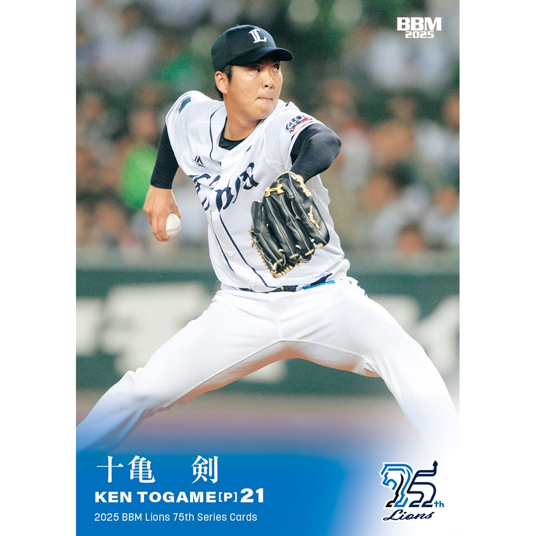 西武　ライオンズ　のれん　4種セット 埼玉西武ライオンズ プレイヤーズのれん 全種類4セット