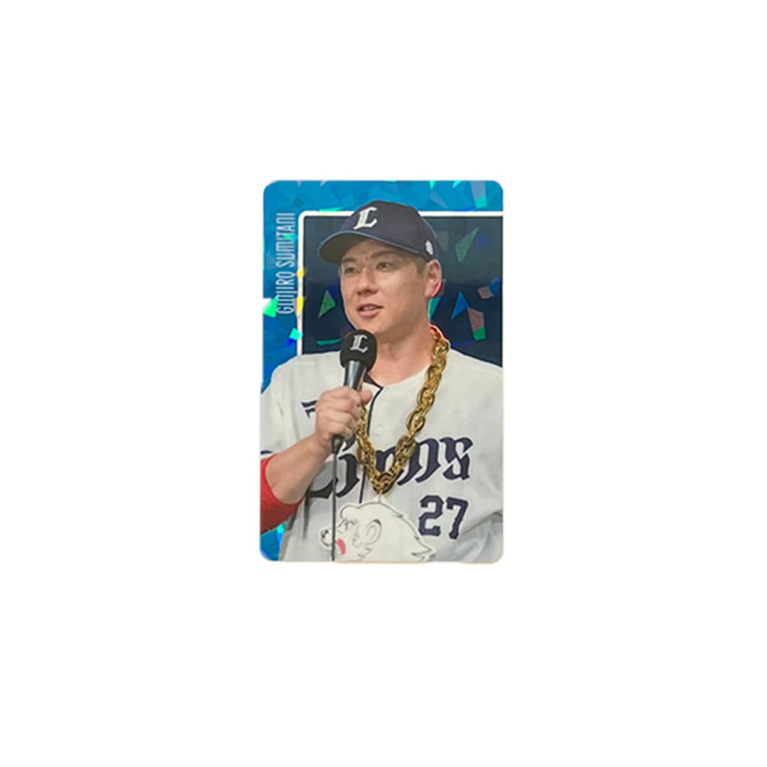 西武 ライオンズブーケシリーズ シークレットトレーディングカード ライオンズブーケシリーズ シークレットアクリルクリップ(全16種