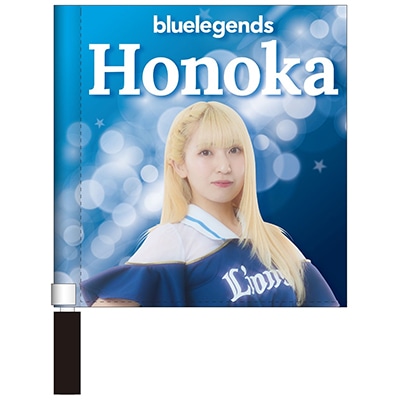 BlueRose様専用❗️❗️完売品❣️♠︎復刻ライオンズ♠︎球団旗