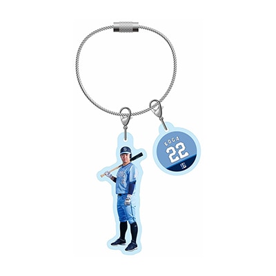 ライオンズフェスティバルズ2025 プレイヤーズアクリルワイヤー