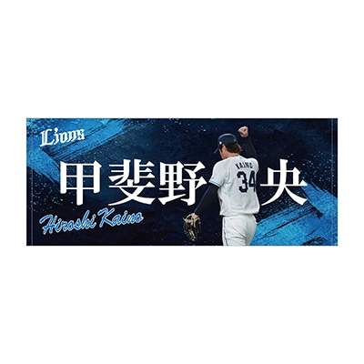 #34 甲斐野 央