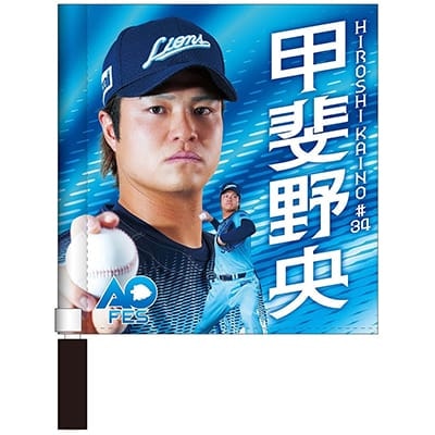 #34 甲斐野 央