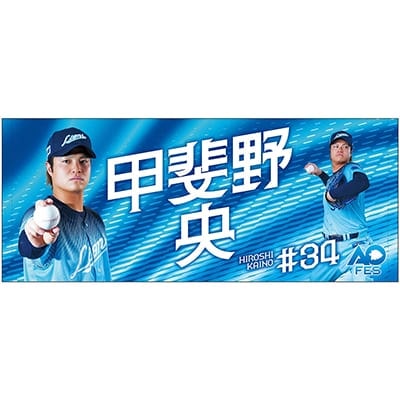 #34 甲斐野 央