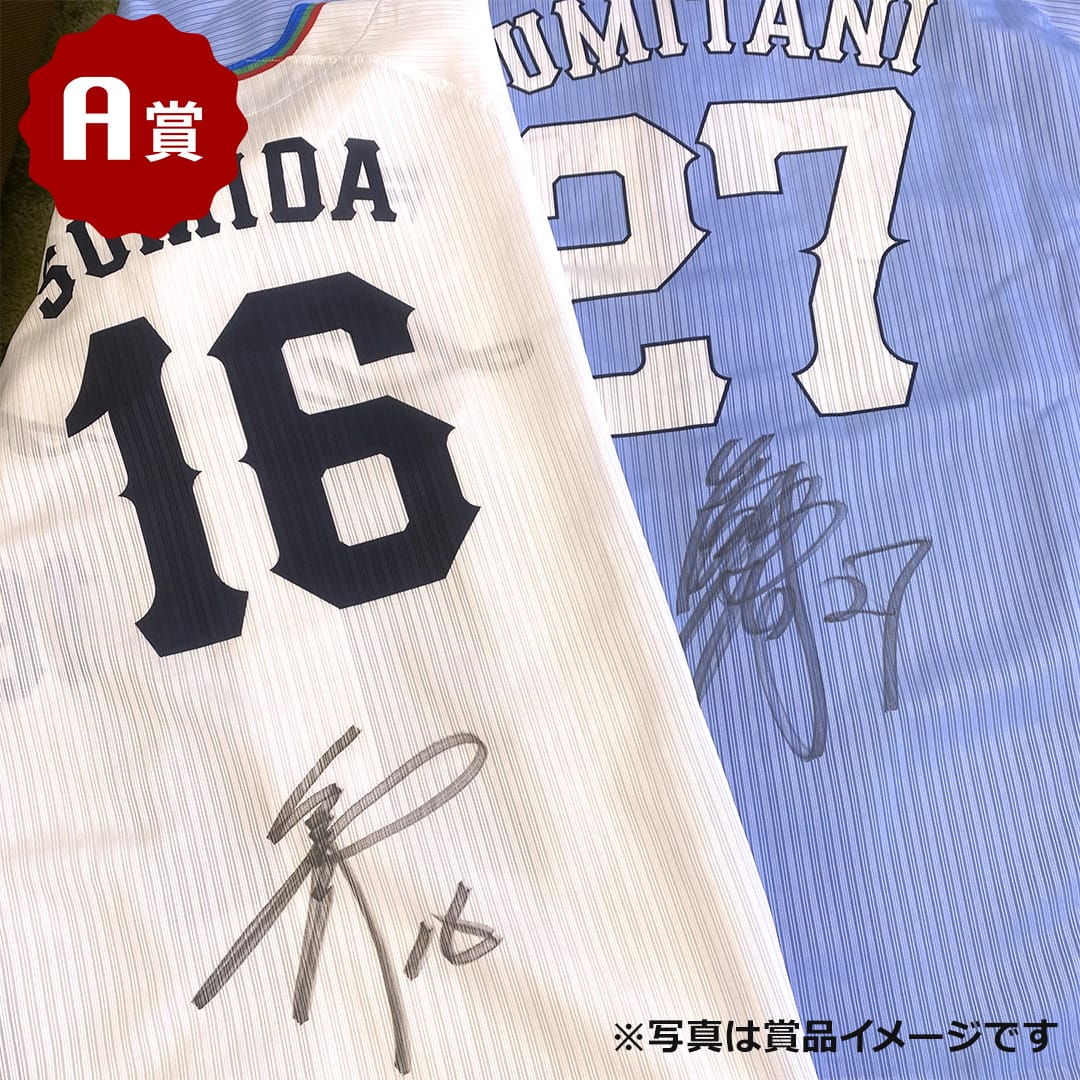 RB7071 埼玉西武ライオンズ DVD 19枚セット Amazon.co.jp: 埼玉西武ライオンズ 2011 [DVD] : 埼玉西武ライオンズ: DVD