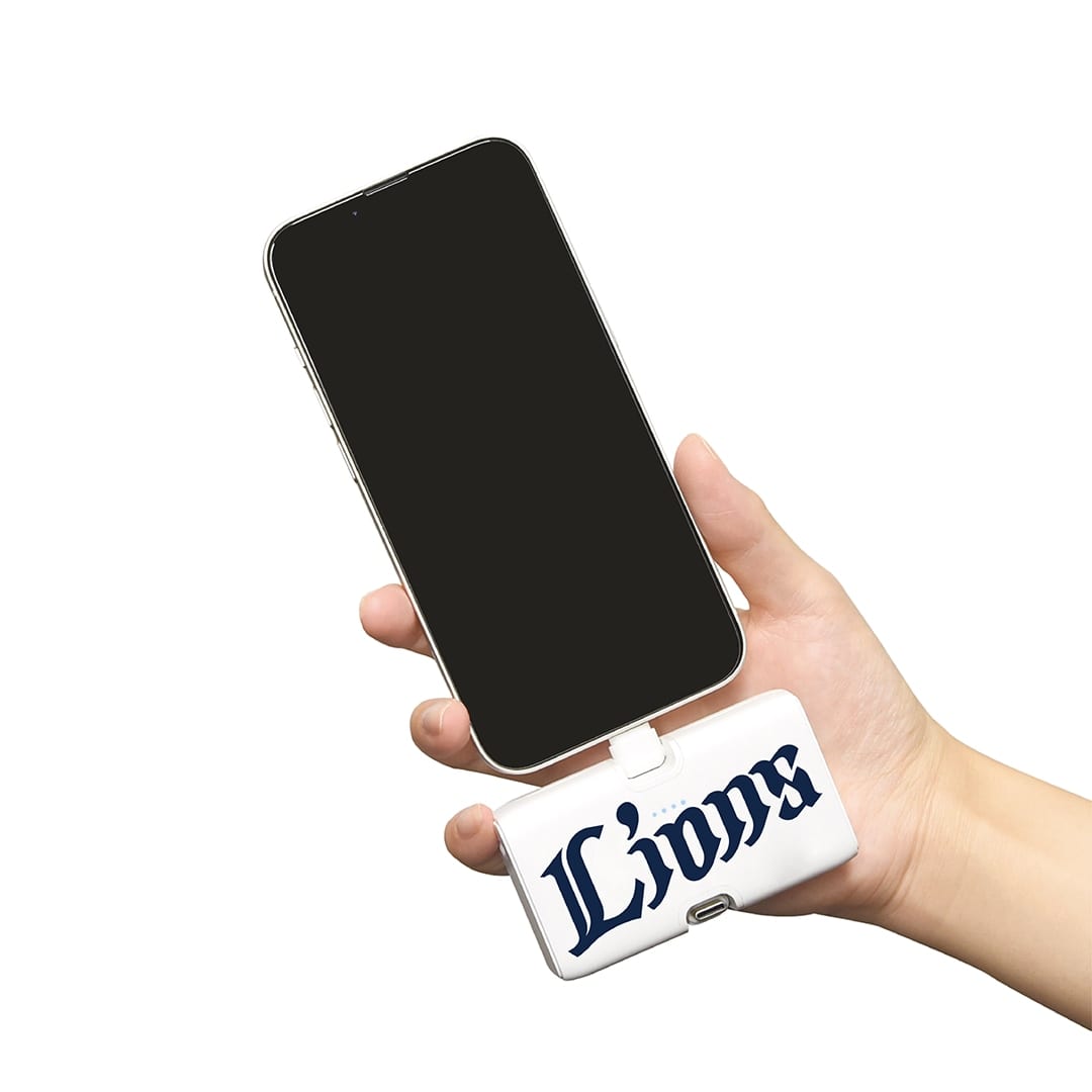 Lightning/Type-Cコネクタ付きリチウムイオン充電器4000mAh ワードマーク