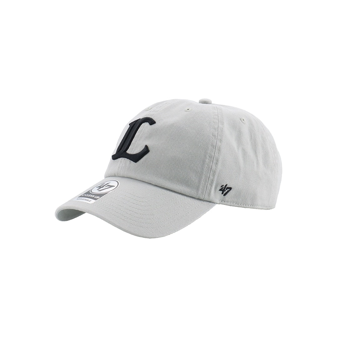 '47×LIONS CLEAN UP Gray Logo Black