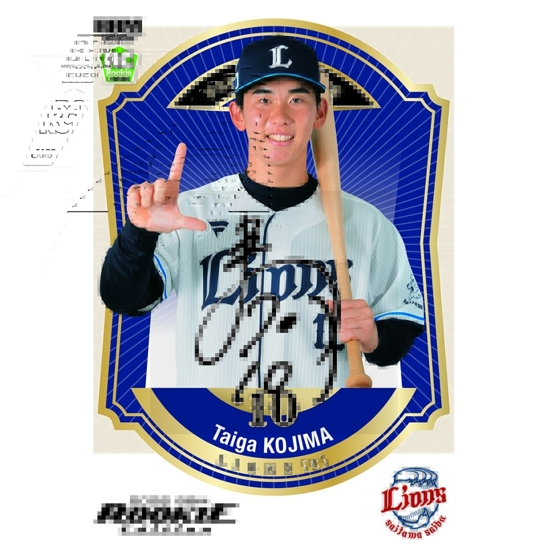 しばライオンページ カワサキパーツ/ウエア＆グッズオンラインショップパーツ選択