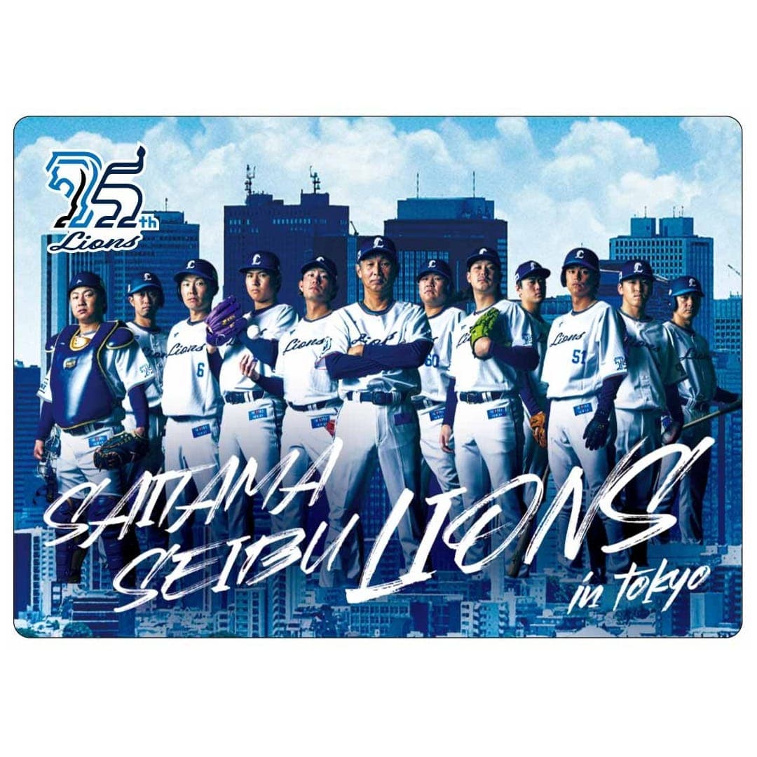 西武ライオンズ　サインカード　トレーディングカード　まとめてセット 101620240010.jpg
