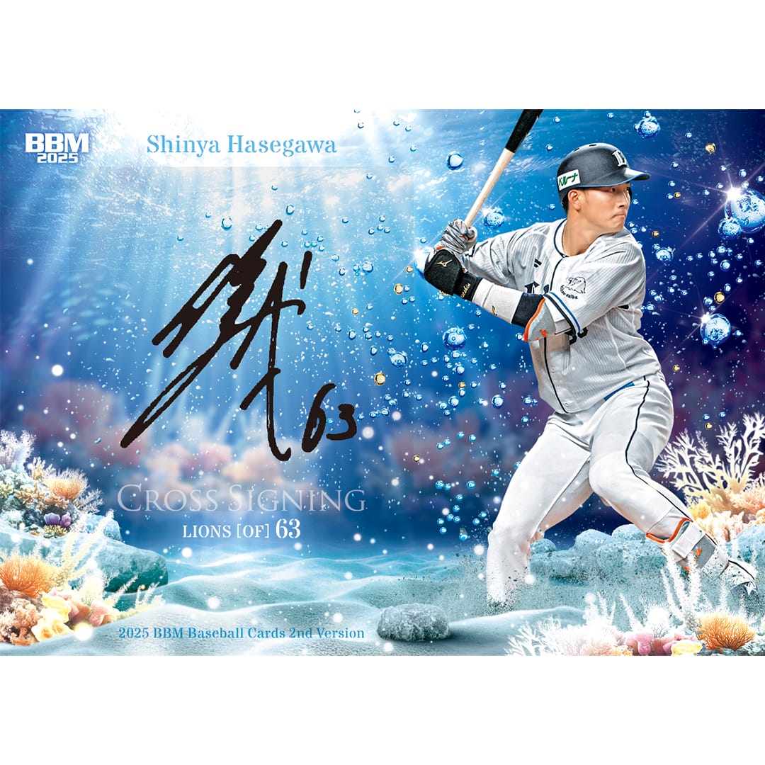 埼玉西武ライオンズ - プロ野球カード 西武ライオンズ １２０枚 ベースボール トレーディングカード プロ野球カード 西武ライオンズ 120枚 ベースボール
