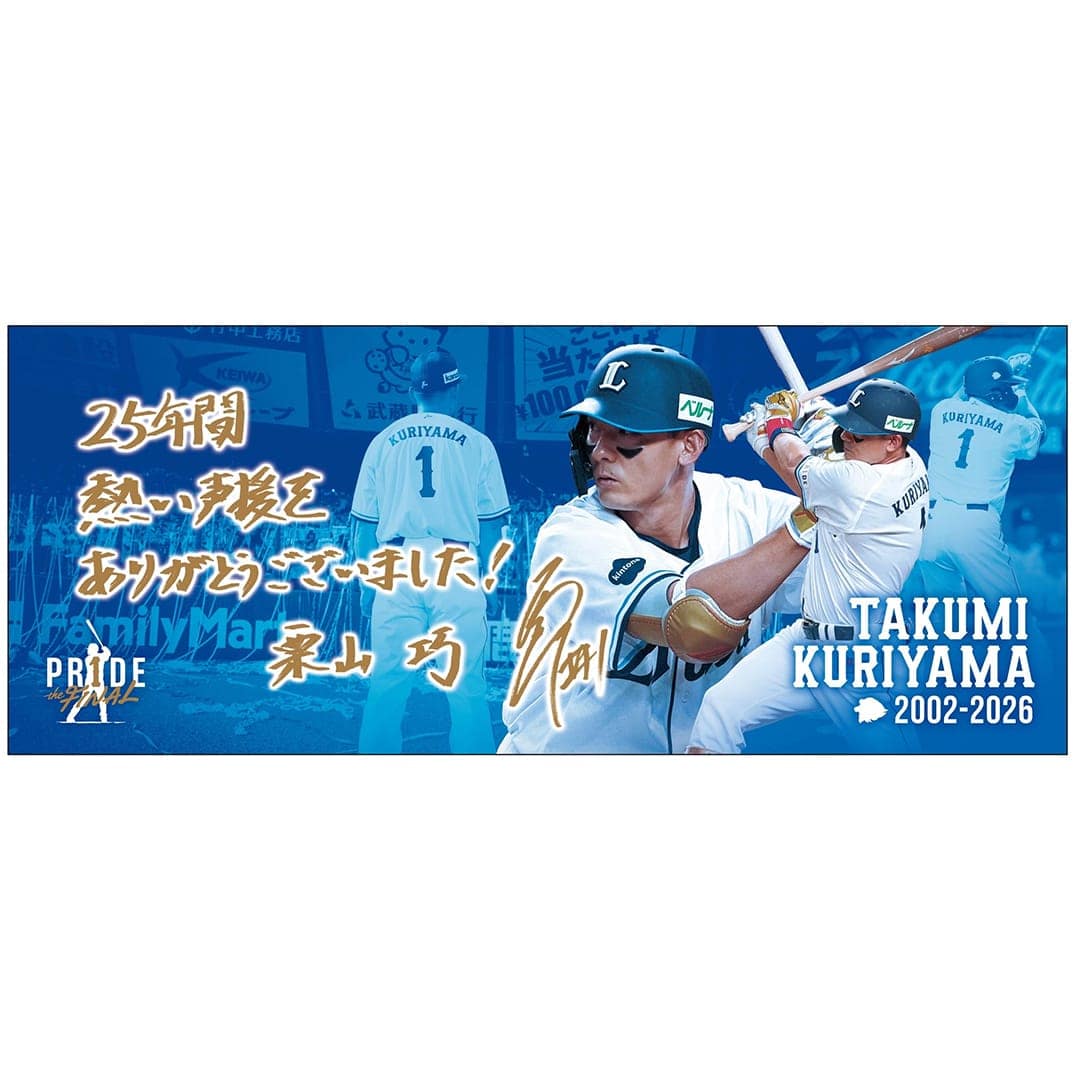 西武ライオンズ　ポスター柄　クリアファイル17点（34枚）セット 西武ライオンズ ポスター柄 クリアファイル17点（34枚）セット L006922.jpg
