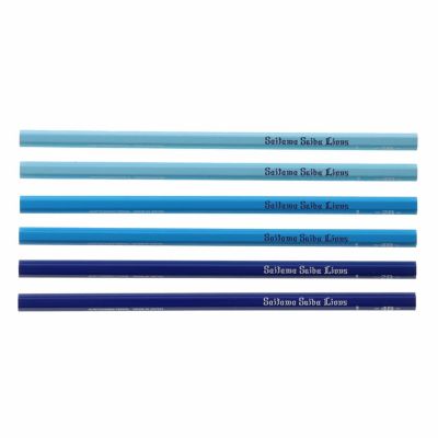 ライオンズ書き方鉛筆 6本セット