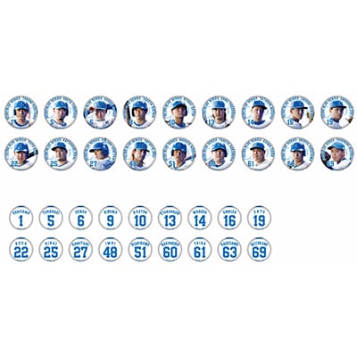 2024全選手ピンバッチ 5個セット(グループA): 雑貨 | 埼玉西武 