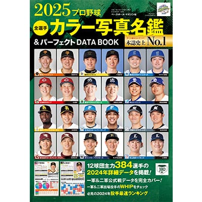 BBM 2024 ルーキーエディション 武内夏暉 緑箔サインカード 20