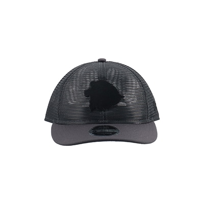 NEW ERA×LIONS LP9FIFTY LEO ALL MESH GRAY