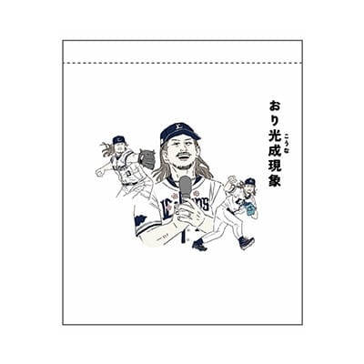 「あの現象に名前を展」(第2回)巾着(小)_おり光成現象